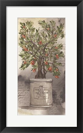 Framed Bittersweet Bush Print