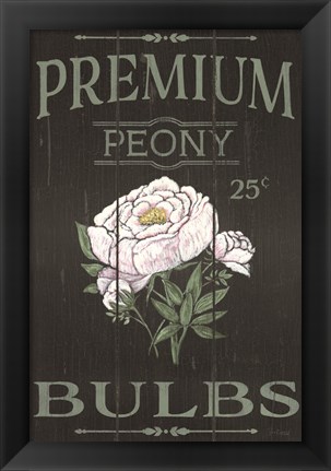 Framed Peony Blubs Print