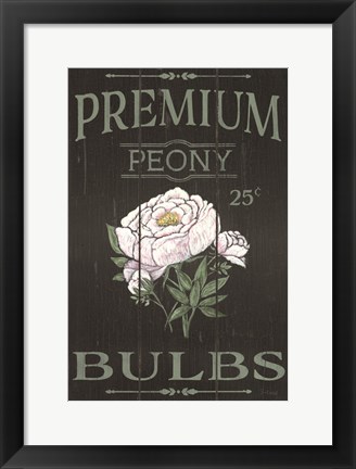 Framed Peony Blubs Print