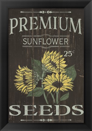 Framed Sunflower Seeds Print