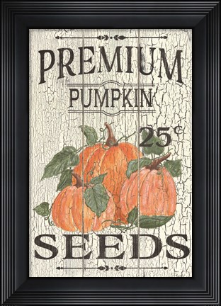 Framed Pumpkin Seeds Print