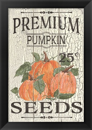 Framed Pumpkin Seeds Print