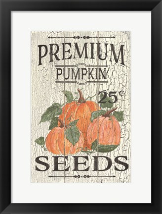 Framed Pumpkin Seeds Print