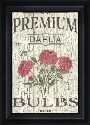 Framed Dahlia Bulbs Print