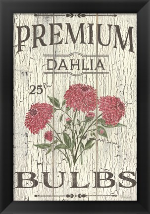 Framed Dahlia Bulbs Print