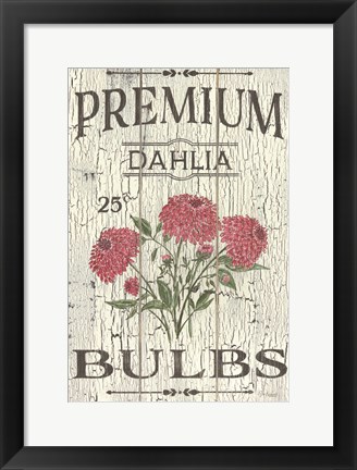 Framed Dahlia Bulbs Print