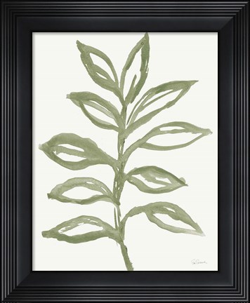 Framed Nature in Sage II Print