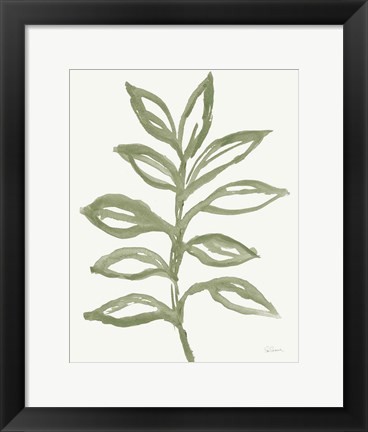 Framed Nature in Sage II Print