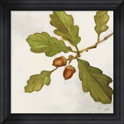 Framed Oak Branch Crop Print