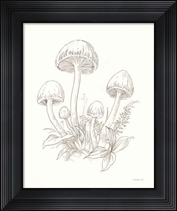 Framed Nature Sketchebook IX Print