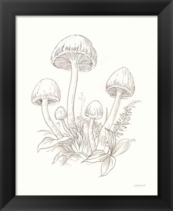 Framed Nature Sketchebook IX Print