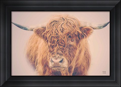 Framed Highland in the Winter Fog Print