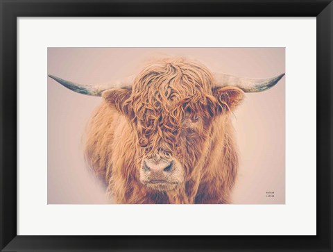 Framed Highland in the Winter Fog Print