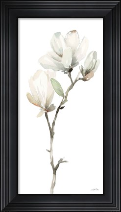 Framed White Magnolia II Print