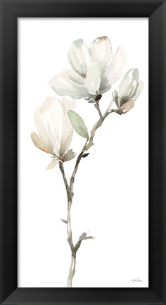 Framed White Magnolia II Print