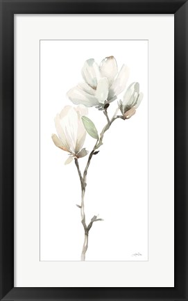 Framed White Magnolia II Print