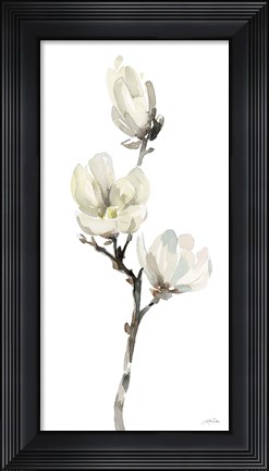 Framed White Magnolia I Print