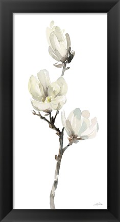 Framed White Magnolia I Print