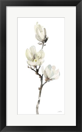 Framed White Magnolia I Print