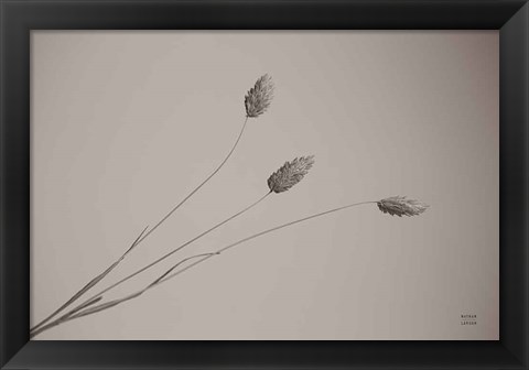 Framed Grass Study Print