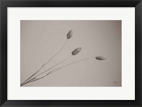 Framed Grass Study Print