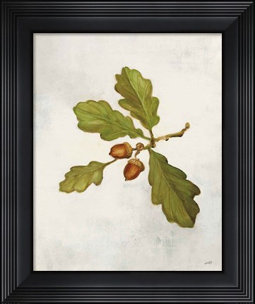 Framed Oak Branch Print