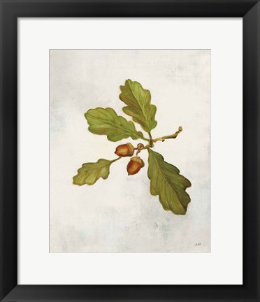 Framed Oak Branch Print