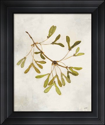 Framed Maple Branch Print