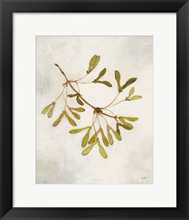 Framed Maple Branch Print