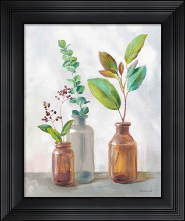Framed Natural Riches III Charcoal Print