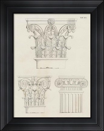 Framed Italian Volute Print
