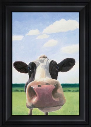 Framed Funny Cow Print
