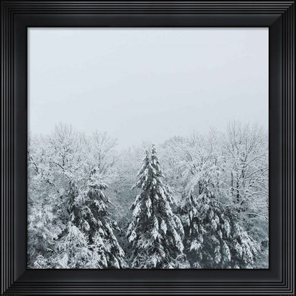 Framed Snowshoe Hill Deep Crop Print