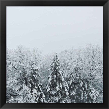 Framed Snowshoe Hill Deep Crop Print