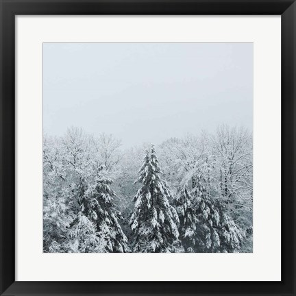 Framed Snowshoe Hill Deep Crop Print