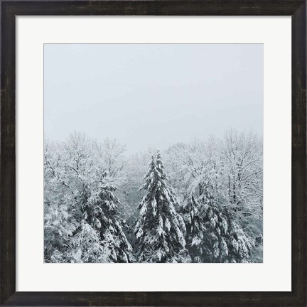 Framed Snowshoe Hill Deep Crop Print