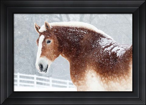 Framed Snowy Draft Horse Print