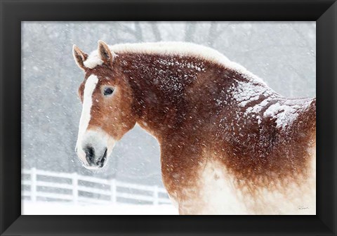 Framed Snowy Draft Horse Print