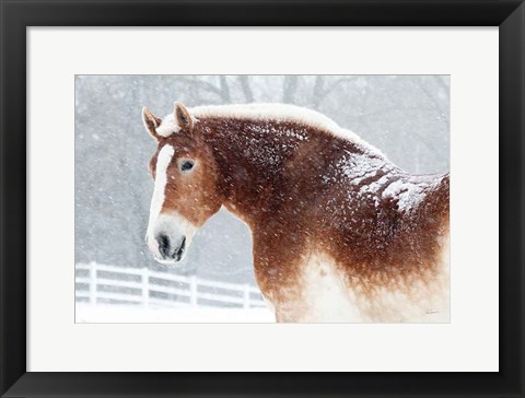 Framed Snowy Draft Horse Print