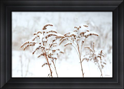 Framed Snowy Gardens Print