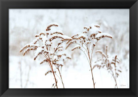 Framed Snowy Gardens Print