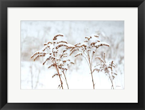 Framed Snowy Gardens Print