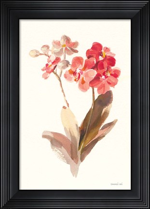 Framed Autumn Orchid II Print