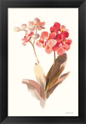 Framed Autumn Orchid II Print