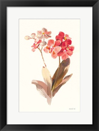 Framed Autumn Orchid II Print