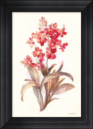 Framed Autumn Orchid I Print