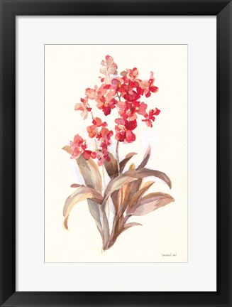 Framed Autumn Orchid I Print