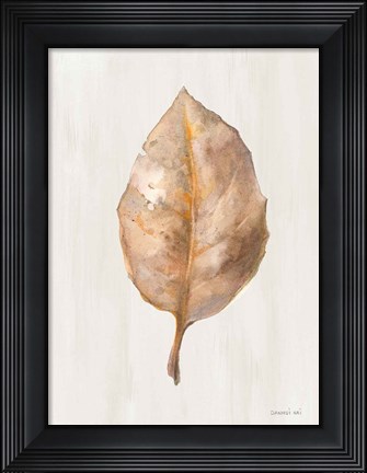 Framed Fallen Leaf II Texture Print