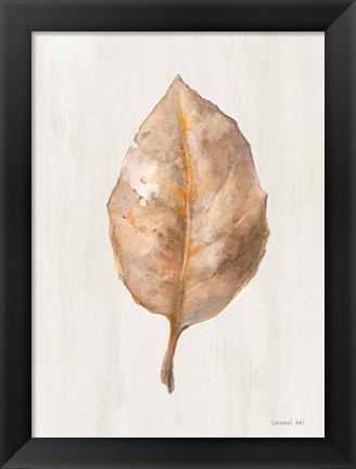 Framed Fallen Leaf II Texture Print