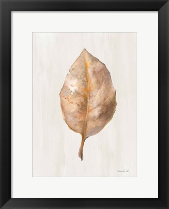 Framed Fallen Leaf II Texture Print